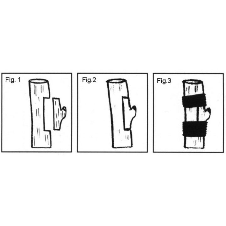 copy of 